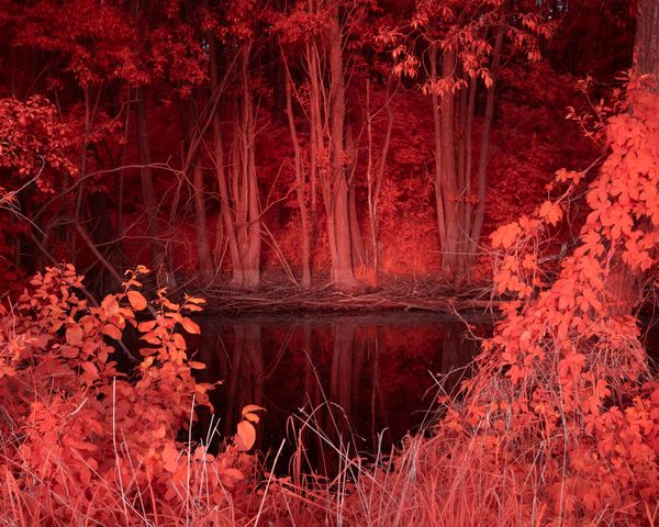 © Michal Adamski - Image from the As the water covers the land photography project