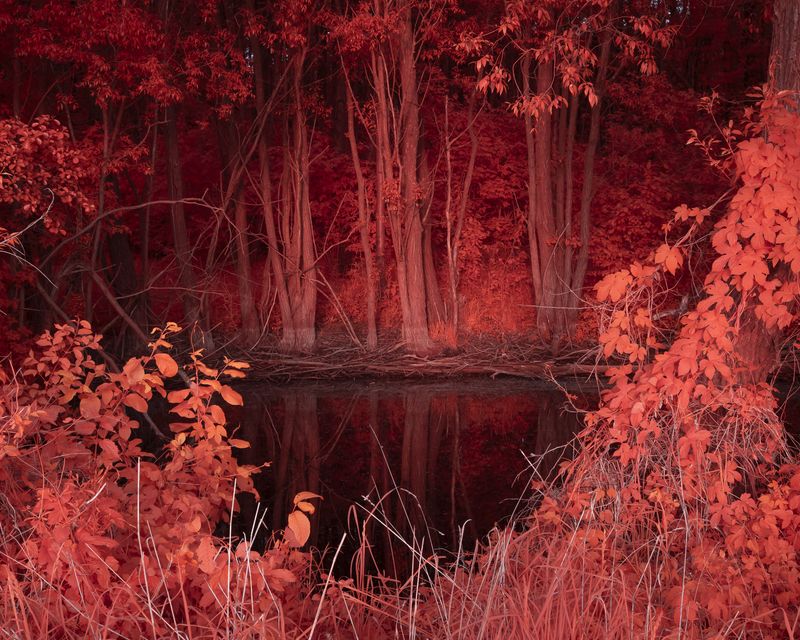 © Michal Adamski - Image from the As the water covers the land photography project