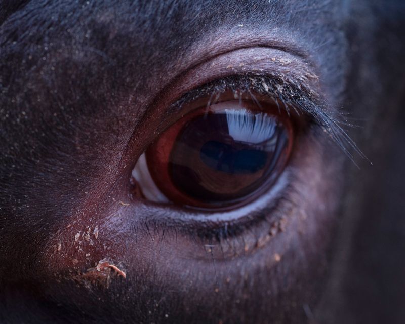 © Michal Adamski - Image from the As the water covers the land photography project