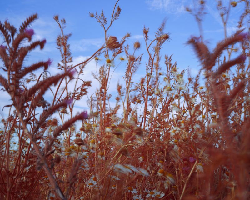 © Michal Adamski - Image from the As the water covers the land photography project