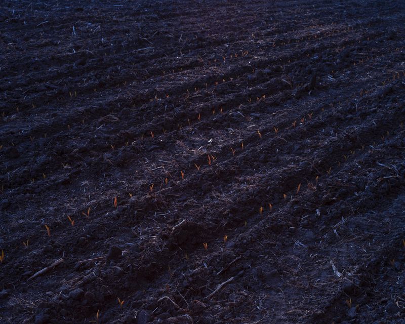 © Michal Adamski - Image from the As the water covers the land photography project