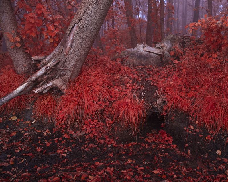 © Michal Adamski - Image from the As the water covers the land photography project