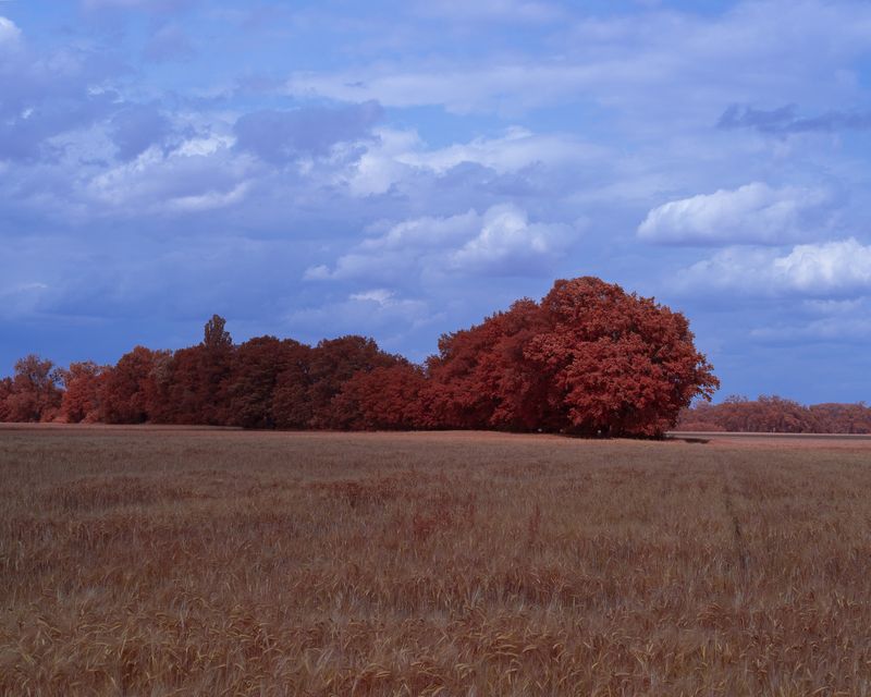 © Michal Adamski - Image from the As the water covers the land photography project