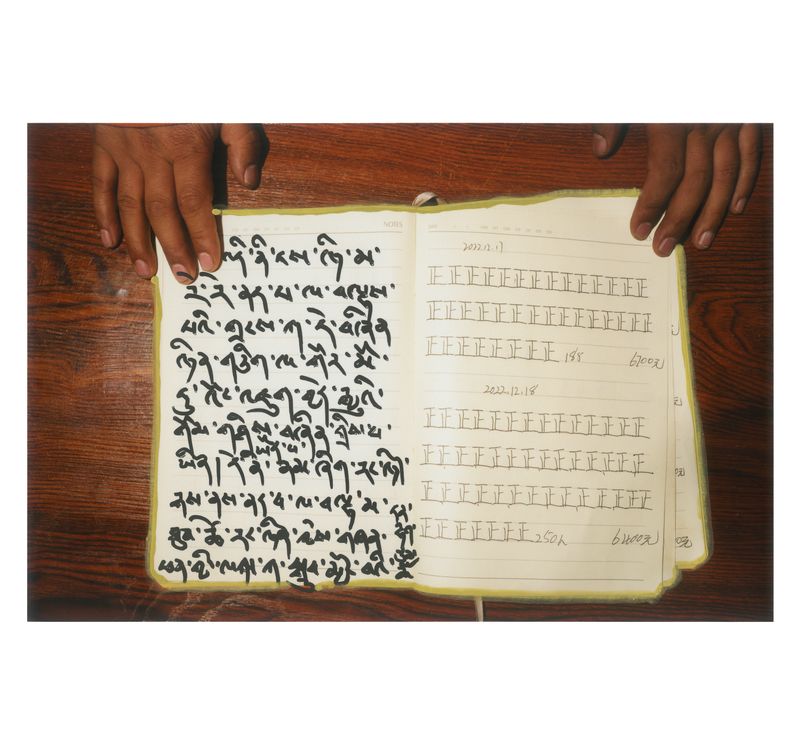 © jake homovich - Image from the Tibetan Country Doctor photography project