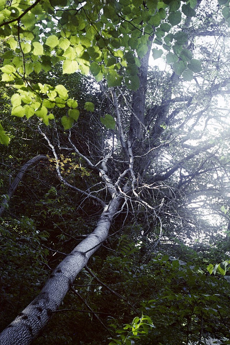 © Agnieszka Gotowała - Image from the Crystal Abyss photography project