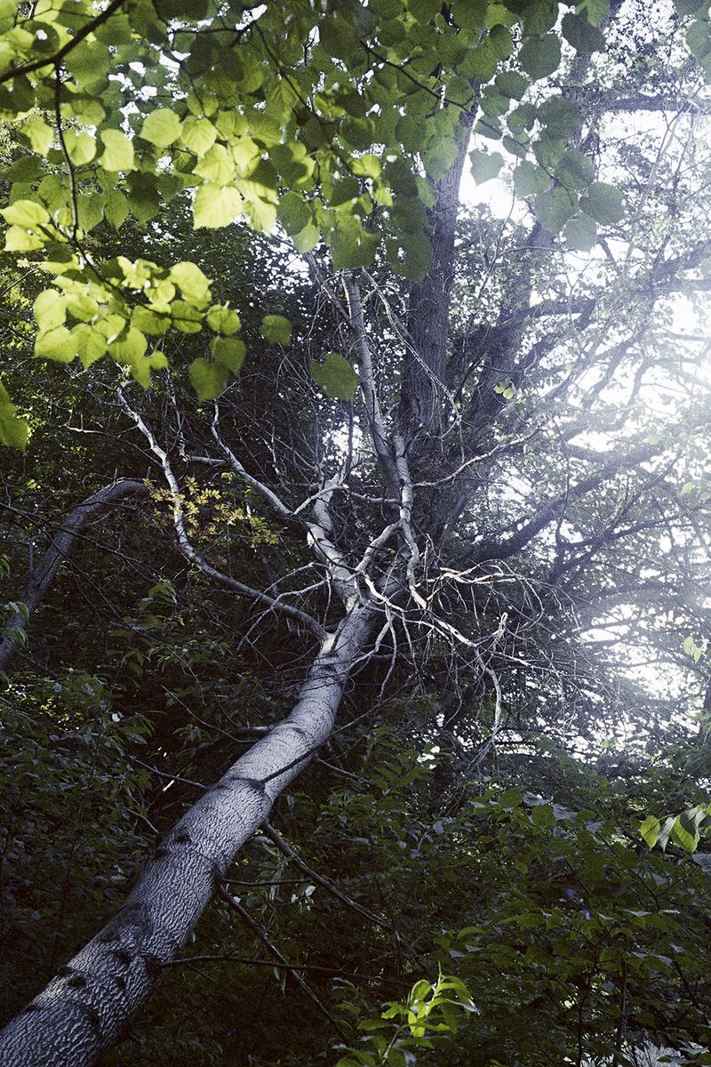 © Agnieszka Gotowała - Image from the Crystal Abyss photography project