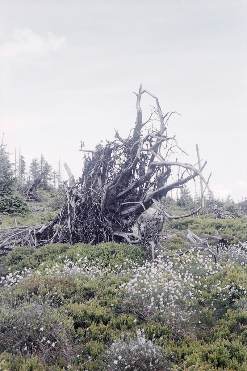 © Agnieszka Gotowała - Image from the Crystal Abyss photography project