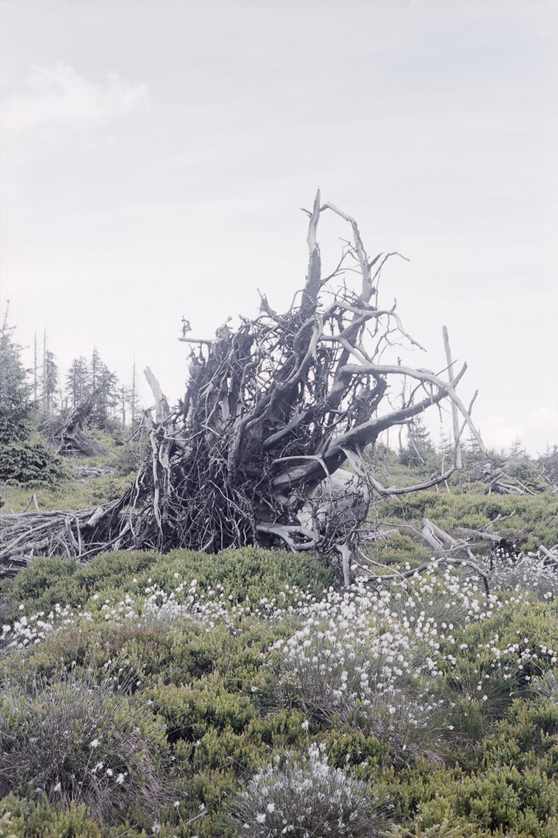 © Agnieszka Gotowała - Image from the Crystal Abyss photography project