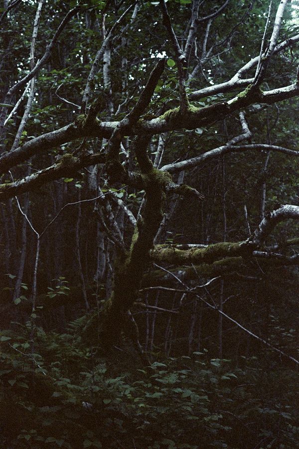 © Agnieszka Gotowała - Image from the Crystal Abyss photography project