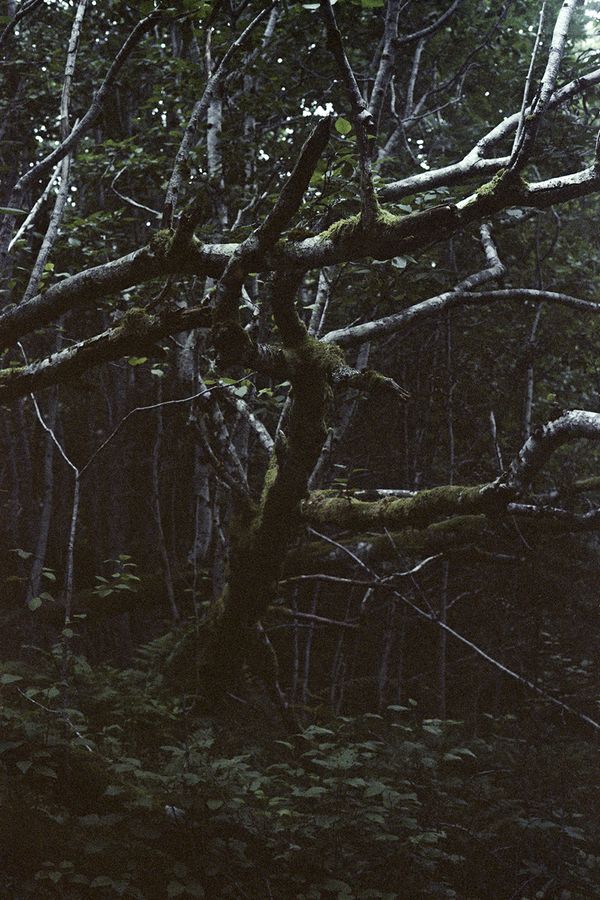 © Agnieszka Gotowała - Image from the Crystal Abyss photography project