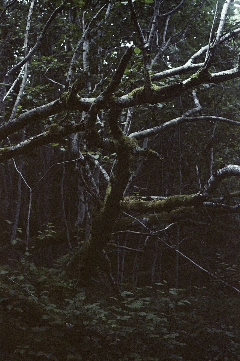 © Agnieszka Gotowała - Image from the Crystal Abyss photography project