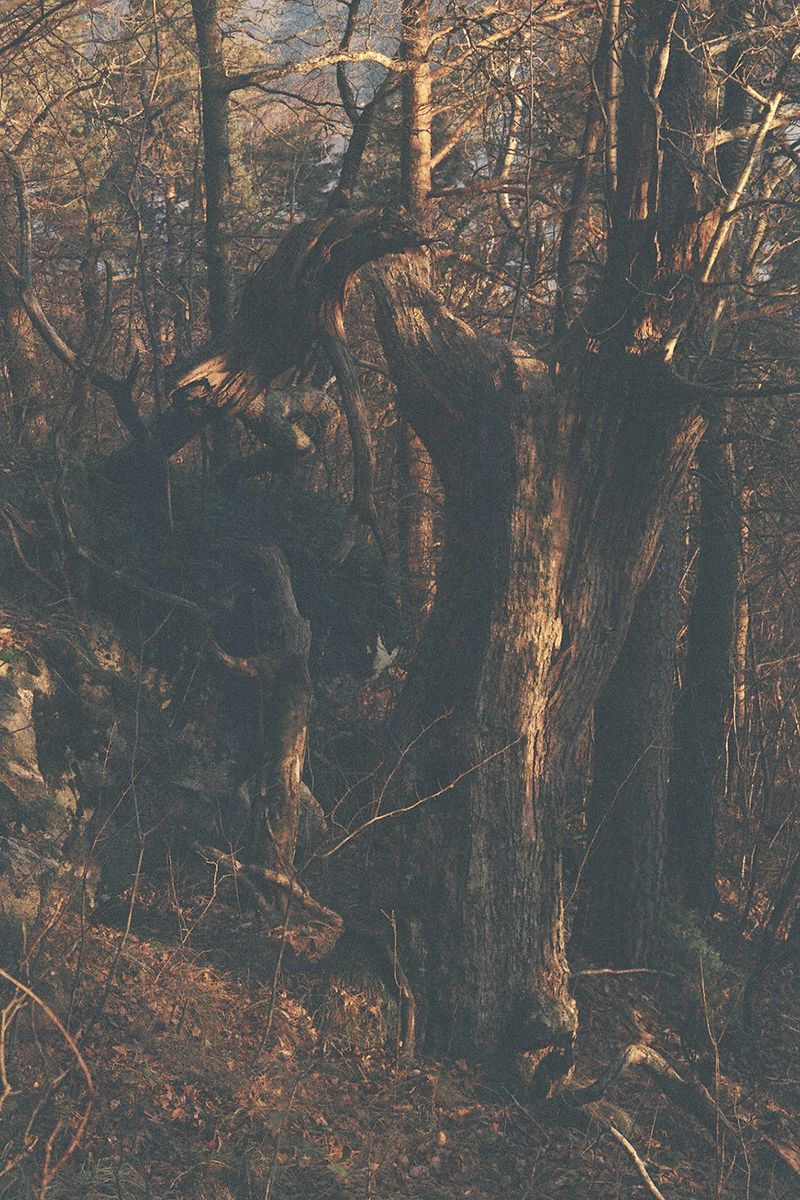 © Agnieszka Gotowała - Image from the Crystal Abyss photography project