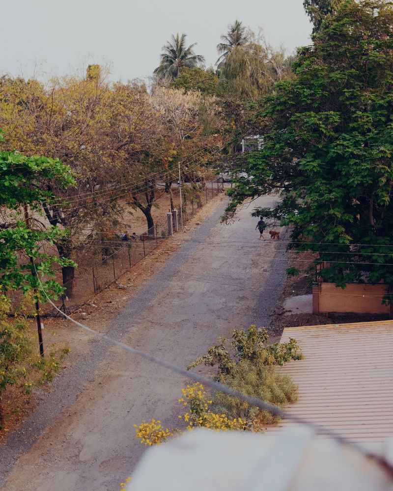 © Disha - Image from the Zhoka photography project