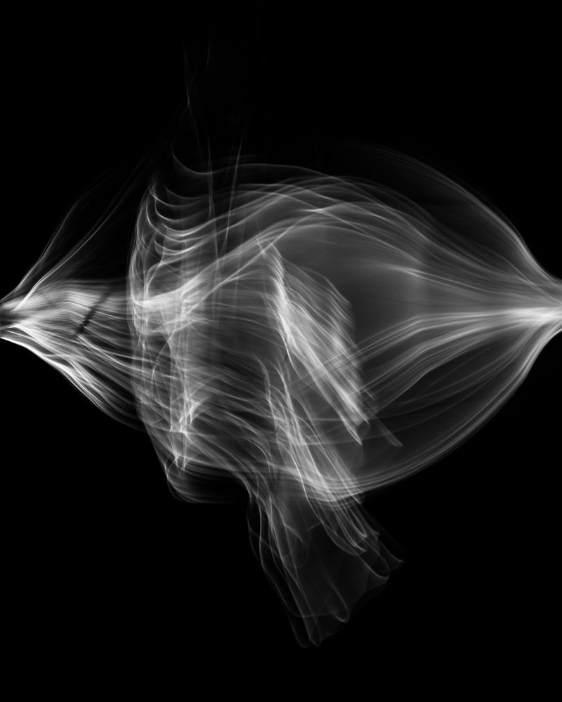 © Fernando Marante - Ballet Mécanique