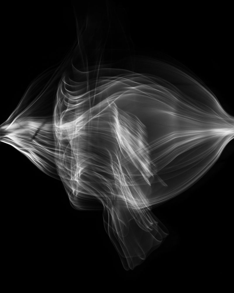 © Fernando Marante - Ballet Mécanique