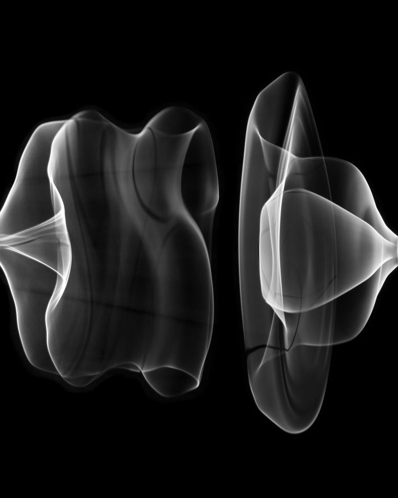 © Fernando Marante - Ballet Mécanique