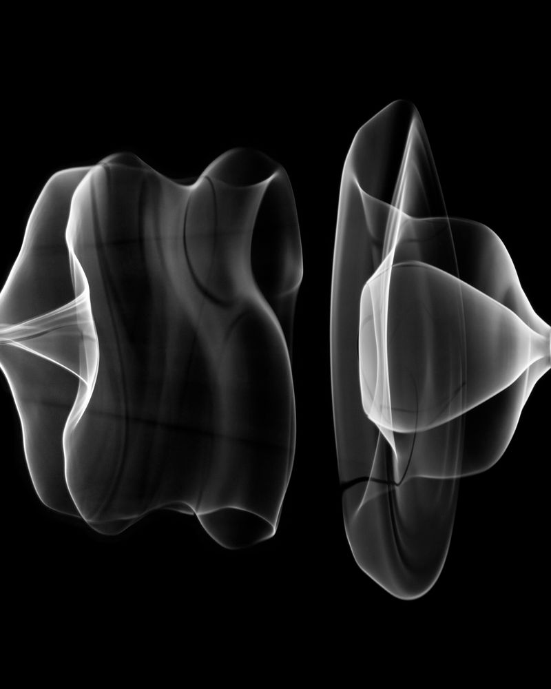 © Fernando Marante - Ballet Mécanique