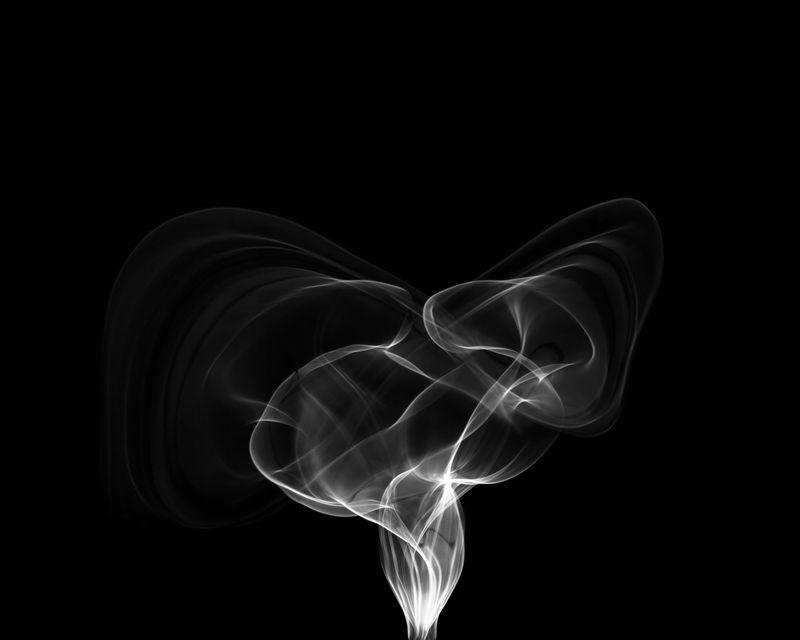 © Fernando Marante - Ballet Mécanique