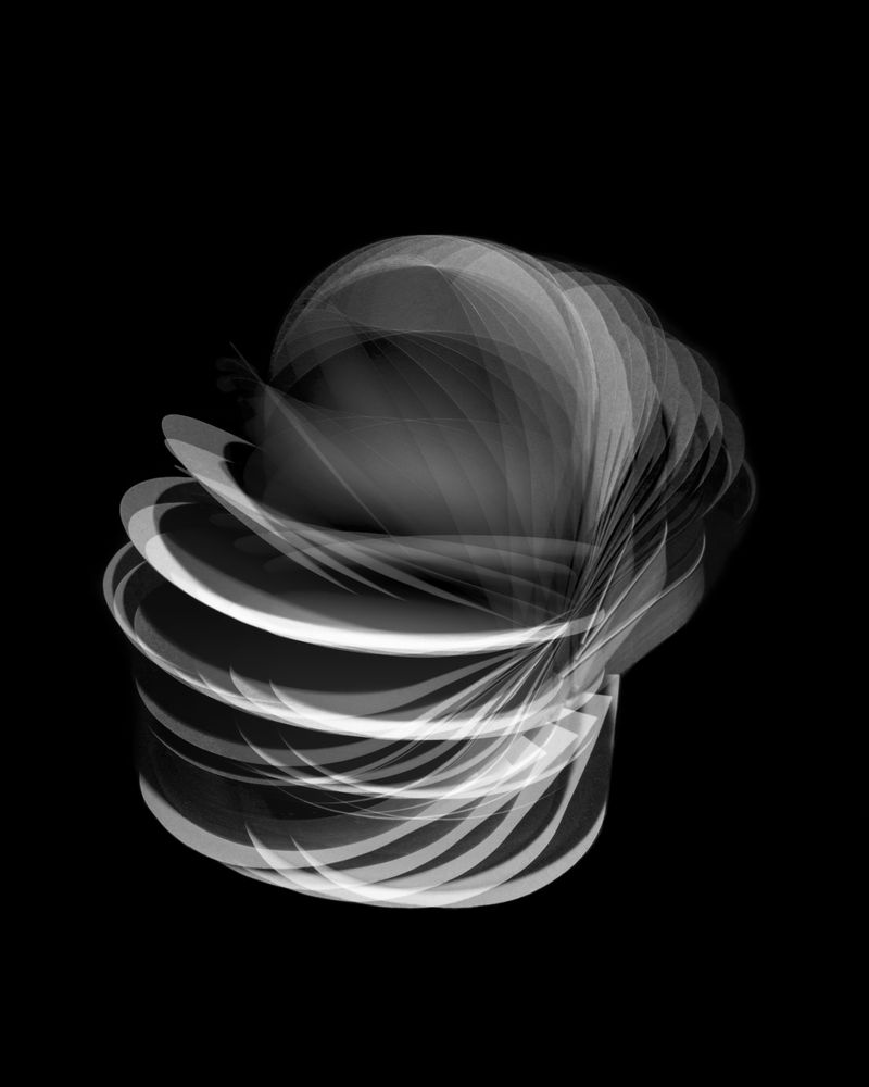 © Fernando Marante - Ballet Mécanique