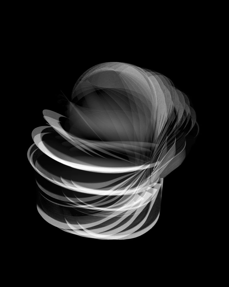 © Fernando Marante - Ballet Mécanique