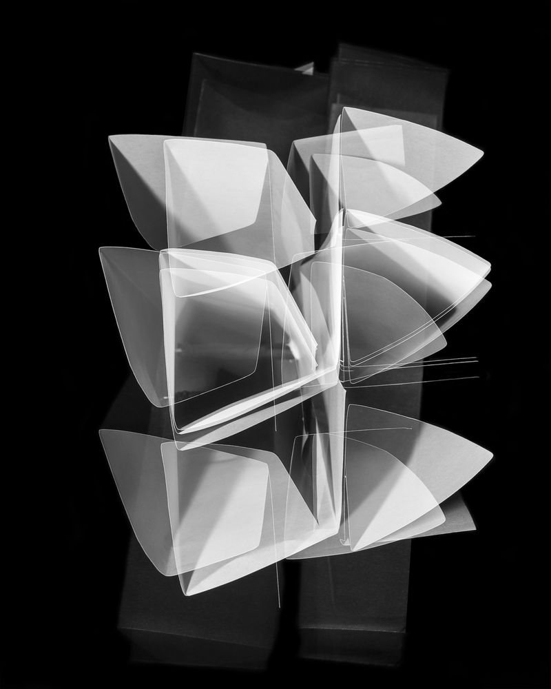 © Fernando Marante - Study on the possibility of movement