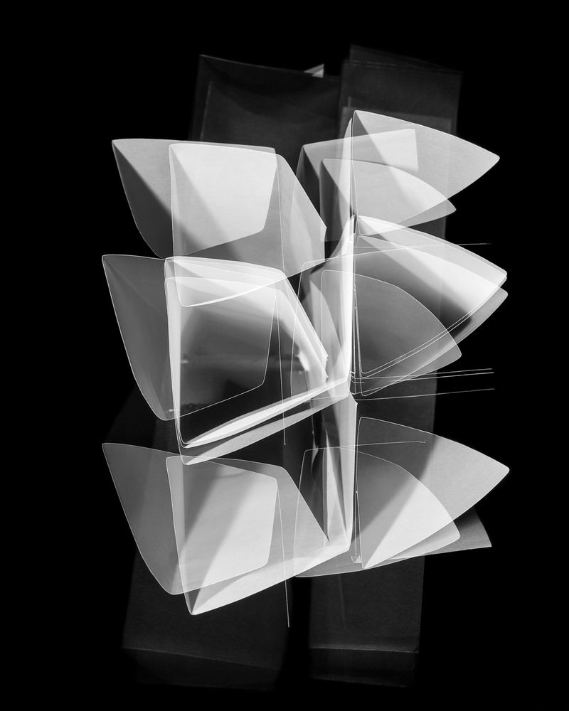 © Fernando Marante - Study on the possibility of movement