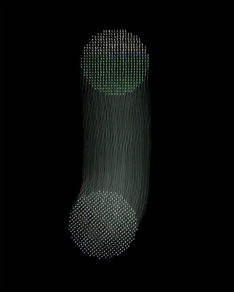 © Fernando Marante - Variation 14. Photograph (2020)