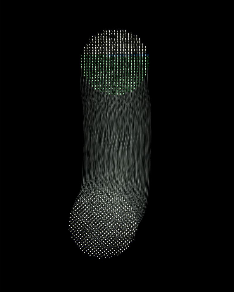 © Fernando Marante - Variation 14. Photograph (2020)