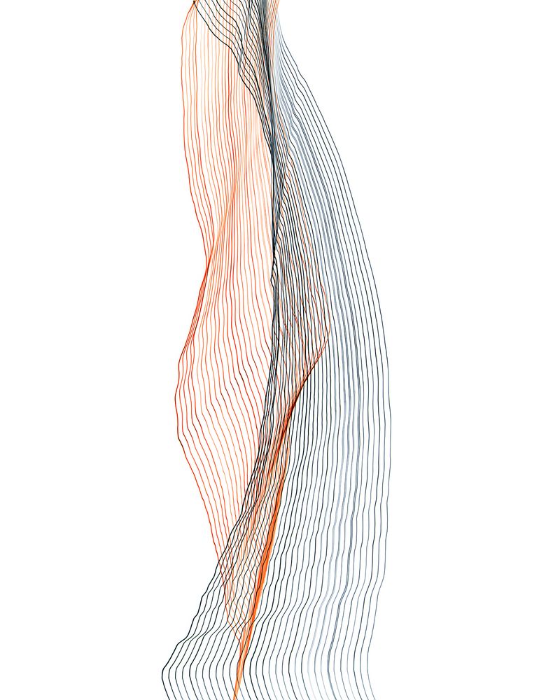 © Fernando Marante - Variation 75. Articulation. Photograph (2020)