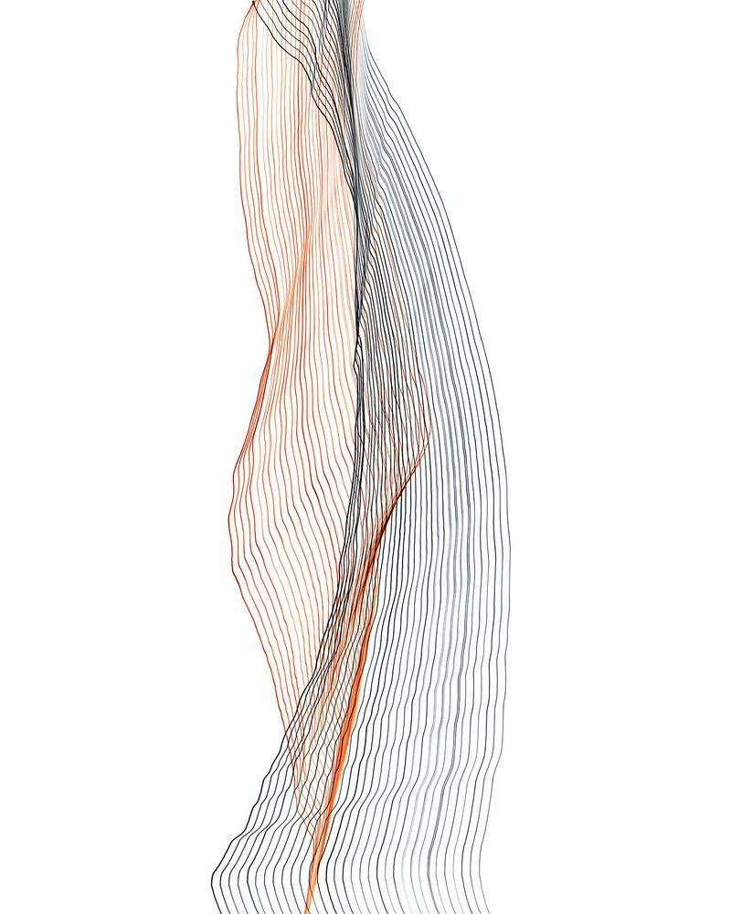 © Fernando Marante - Variation 75. Articulation. Photograph (2020)