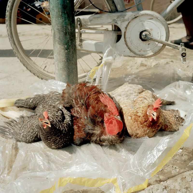 © Claudio Rasano - Image from the MY ALBANIA photography project