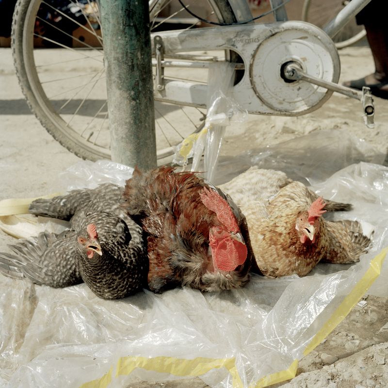© Claudio Rasano - Image from the MY ALBANIA photography project