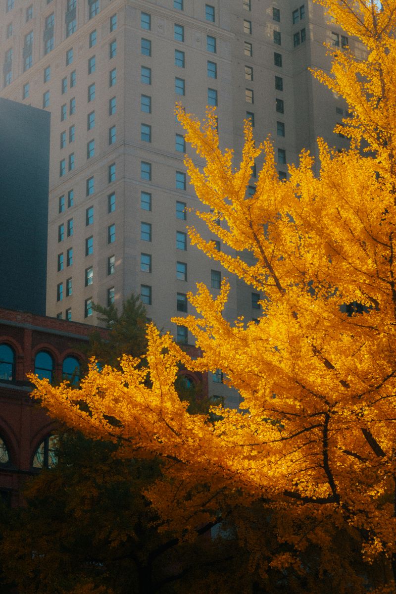 © Mesgana Berhane - Image from the Autumn in one of "The Most Dangerous Cities in America": Godspeed to You photography project