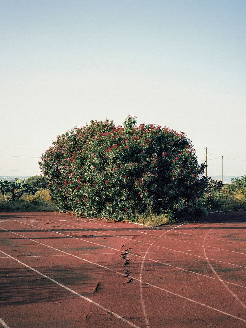 © Greta Valente - Image from the Come un fiore senza terra photography project