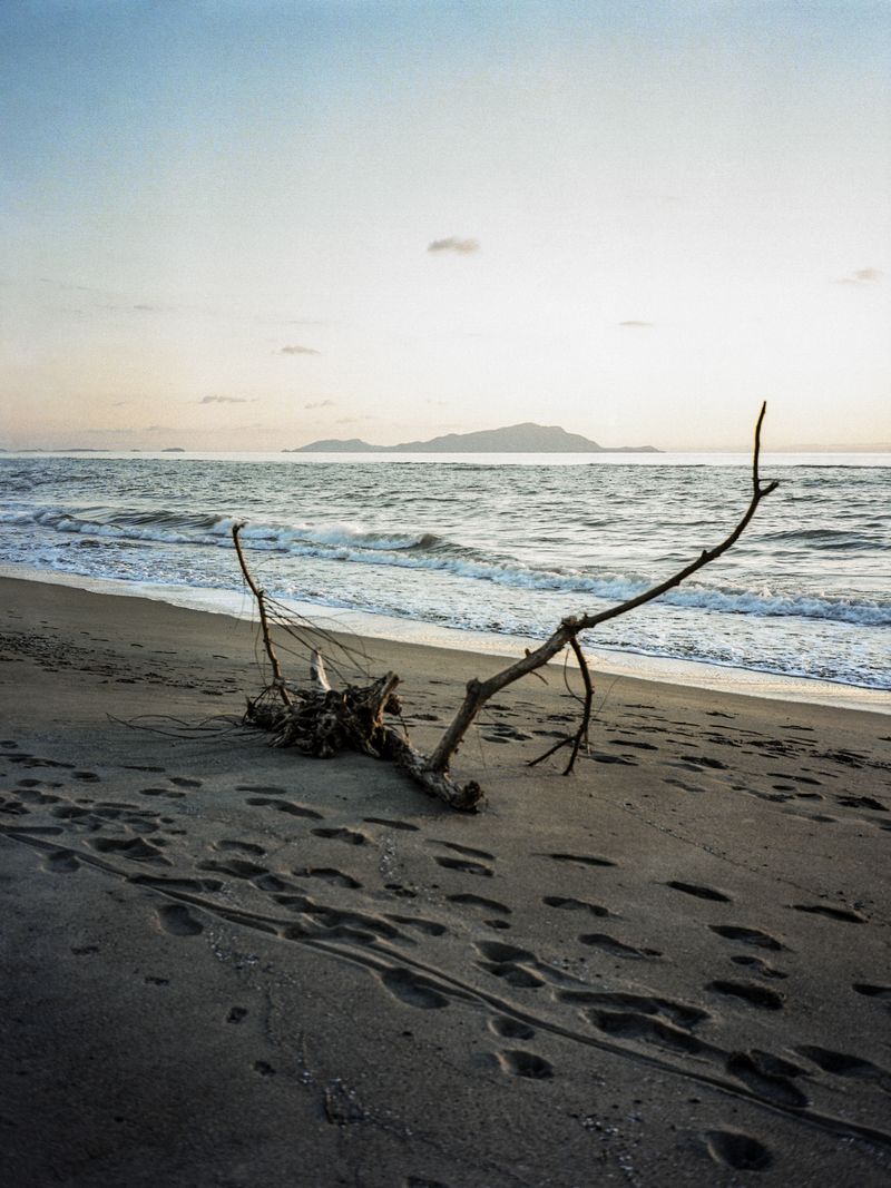 © Greta Valente - Image from the Come un fiore senza terra photography project