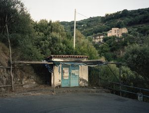Come un fiore senza terra