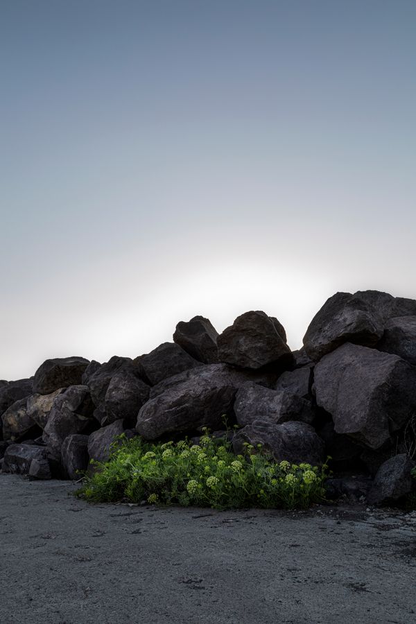 © Greta Valente - Image from the Tell us of Pain photography project