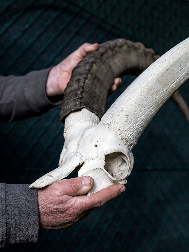 © Greta Valente - Image from the It takes all kinds photography project