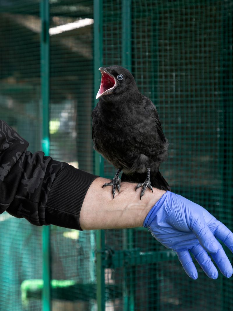 © Greta Valente - Image from the It takes all kinds photography project