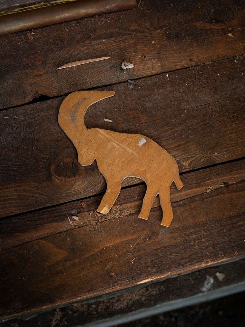 © Greta Valente - Image from the It takes all kinds photography project