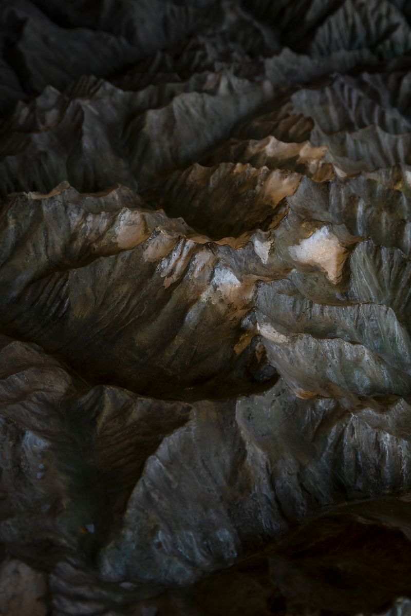 © Greta Valente - Image from the It takes all kinds photography project