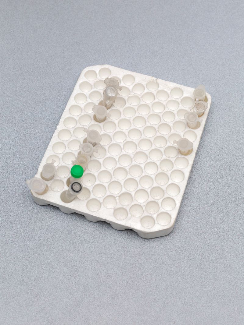 © Greta Valente - Image from the It takes all kinds photography project