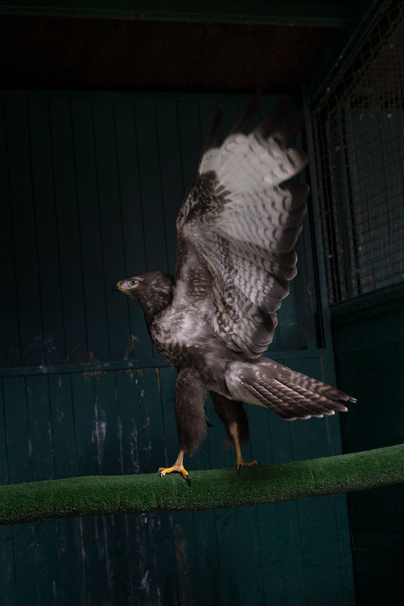 © Greta Valente - Image from the It takes all kinds photography project