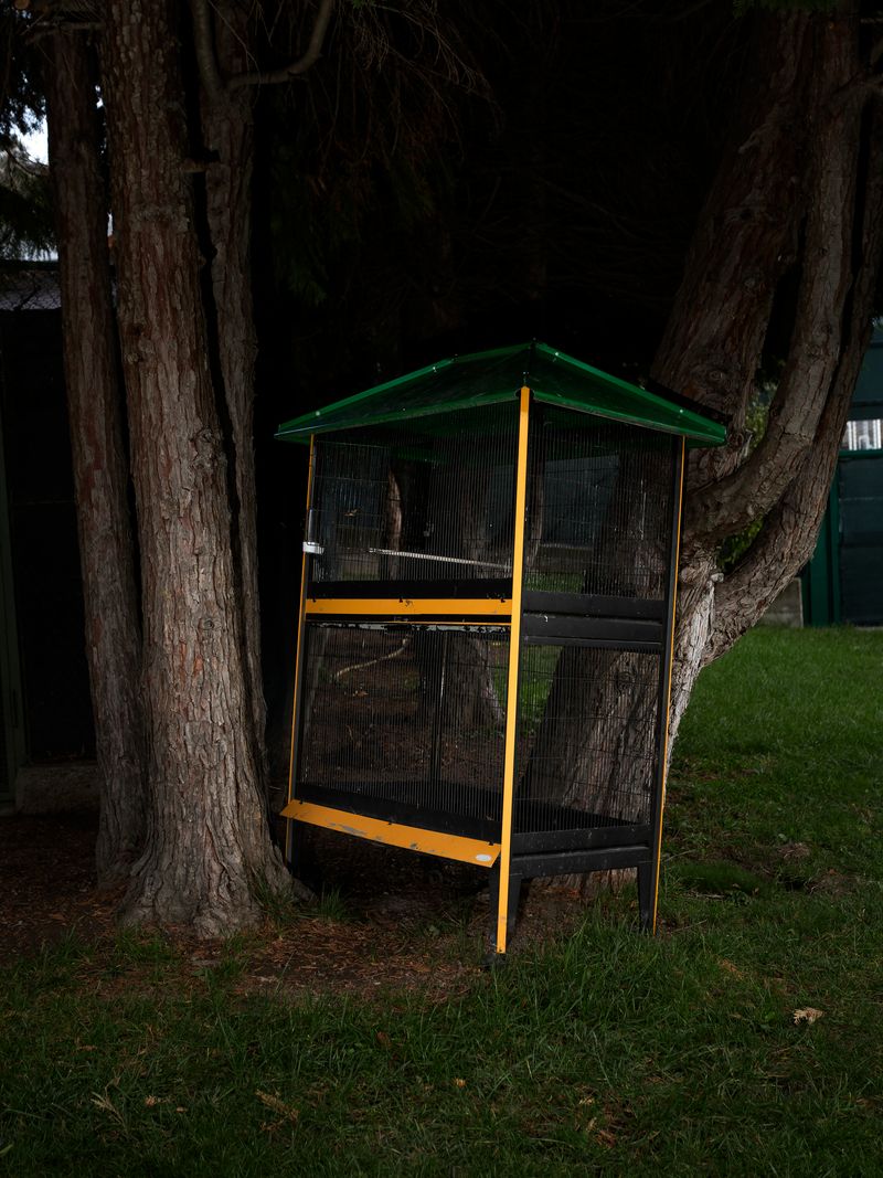 © Greta Valente - Image from the It takes all kinds photography project