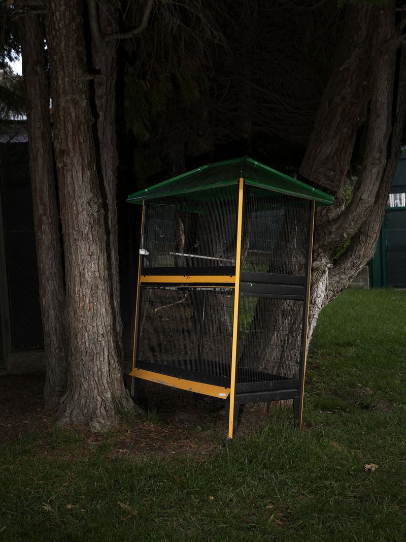 © Greta Valente - Image from the It takes all kinds photography project