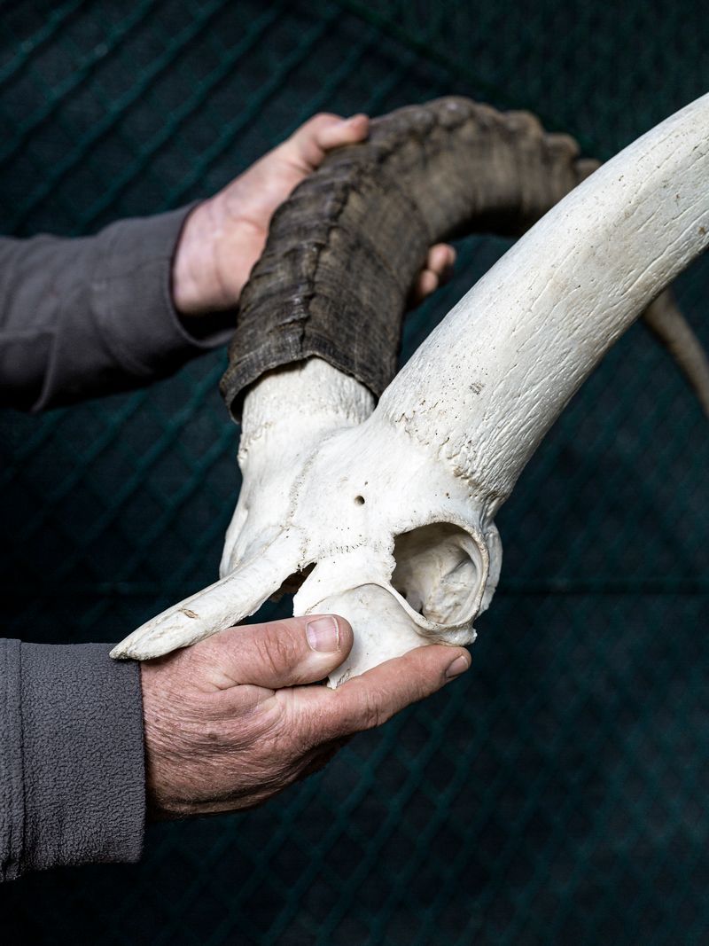 © Greta Valente - Image from the It takes all kinds photography project