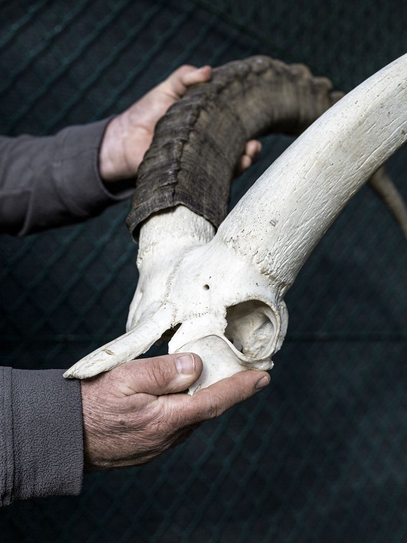 © Greta Valente - Image from the It takes all kinds photography project