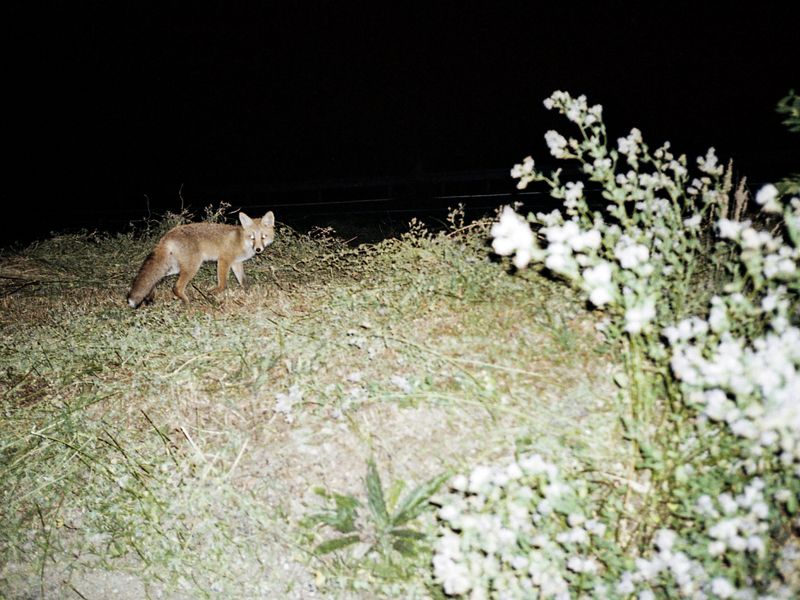 © Greta Valente - Image from the It takes all kinds photography project