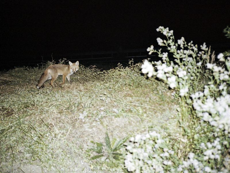 © Greta Valente - Image from the It takes all kinds photography project