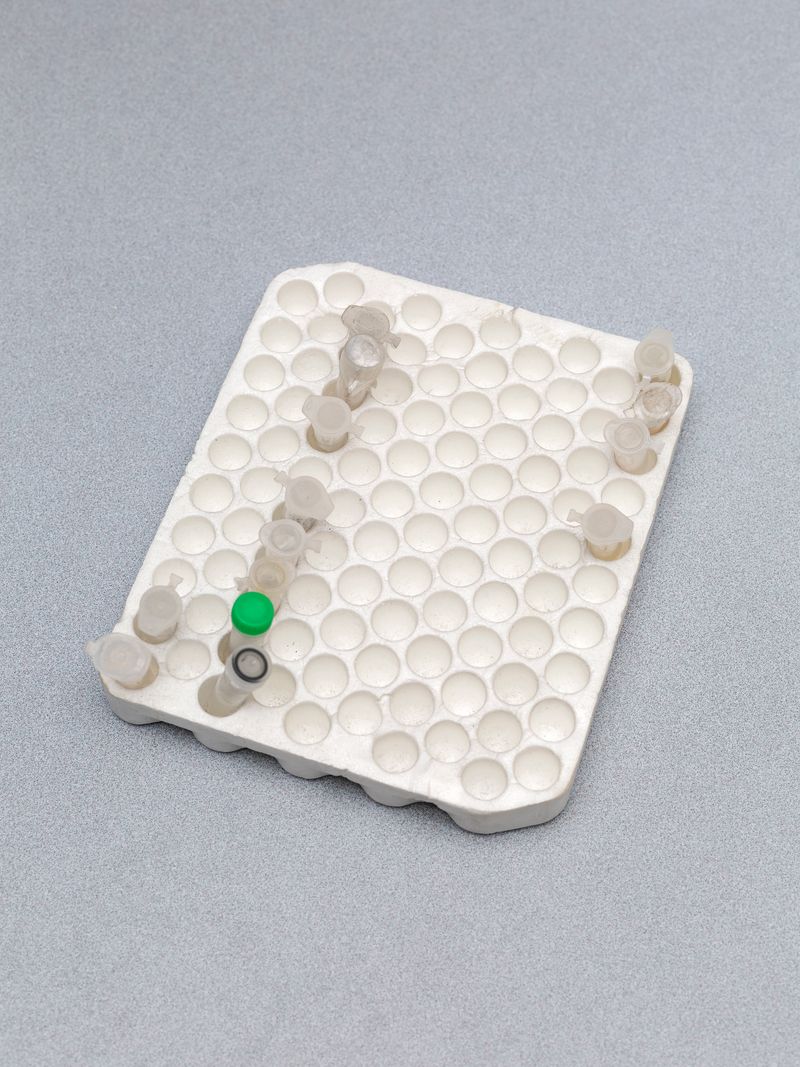 © Greta Valente - Image from the It takes all kinds photography project